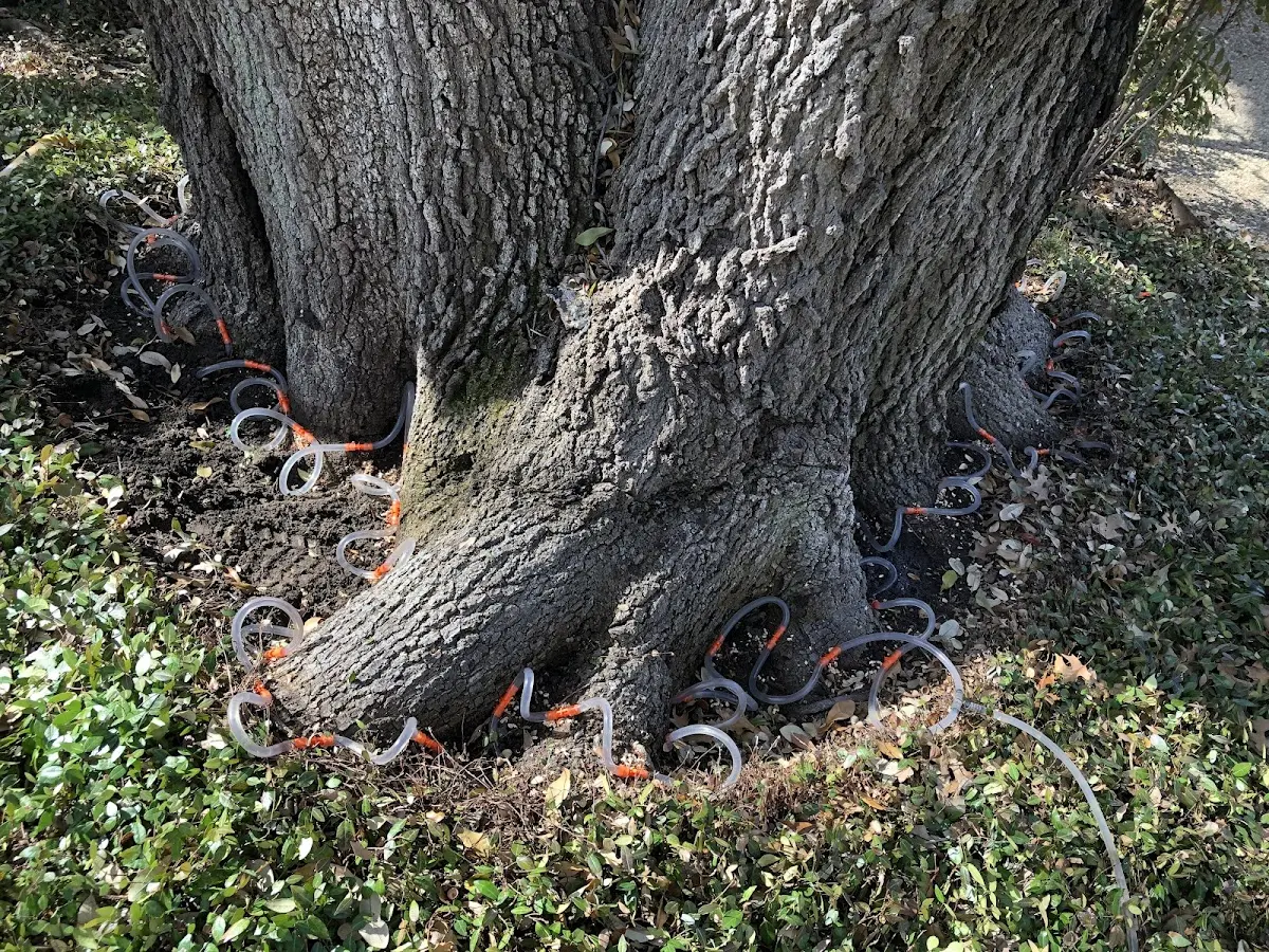 Detailed Shrub and Hedge Trimming job site in Lawrence Township