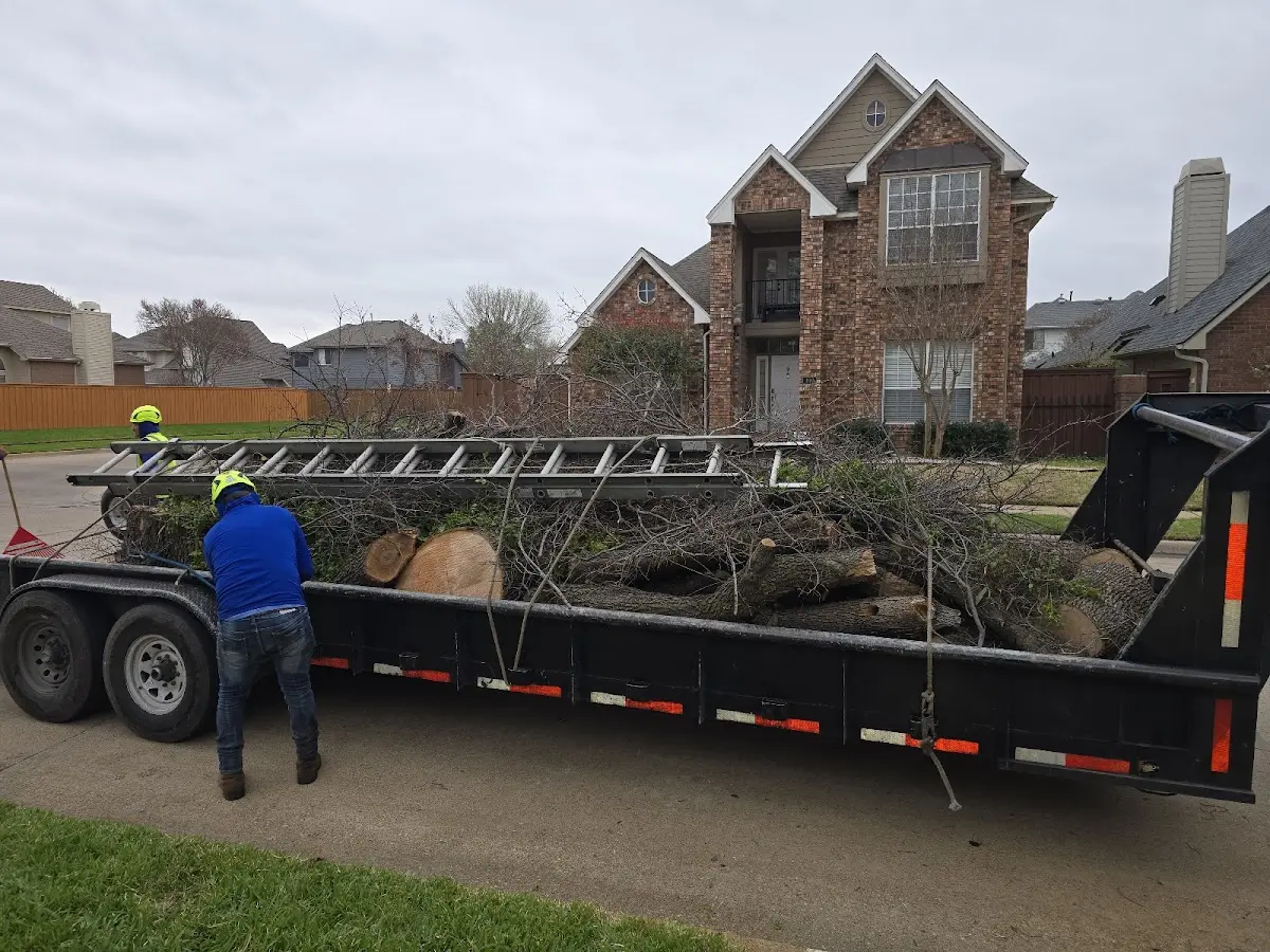 Expert Tree Removal with proper safety equipment in Lawrence Township